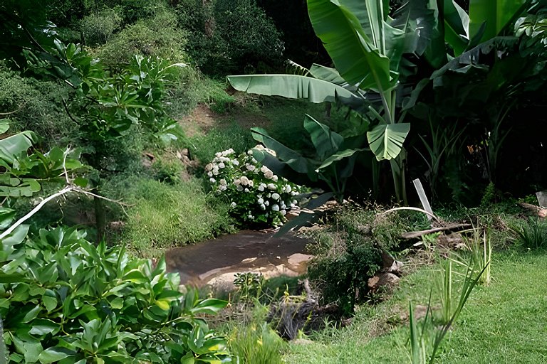 Casa na Serra Gaúcha com piscina