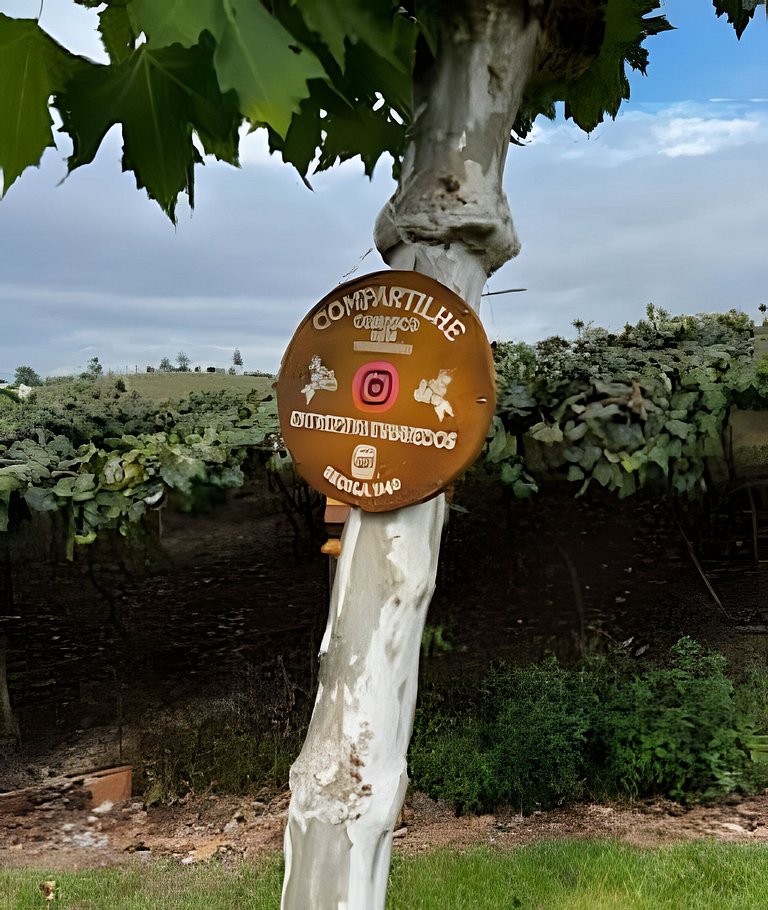 Cabana Chardonnay refúgio romântico entre vinhedos