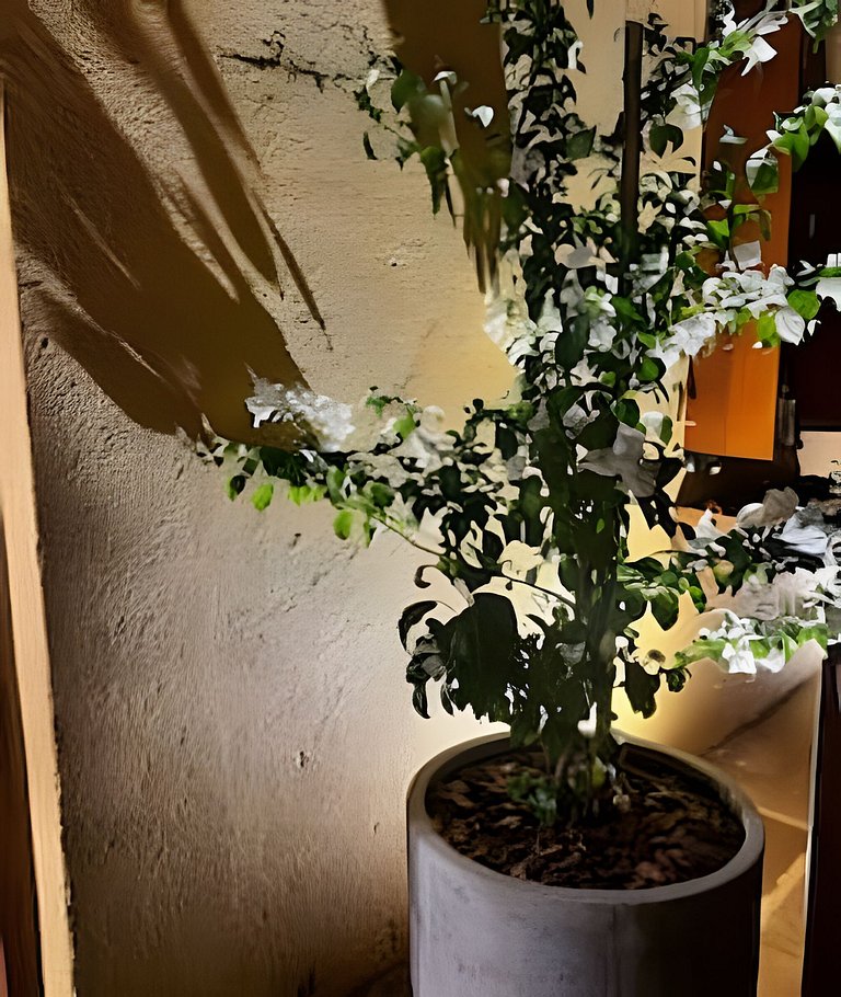 Casarão Centenário experiência única com lareira